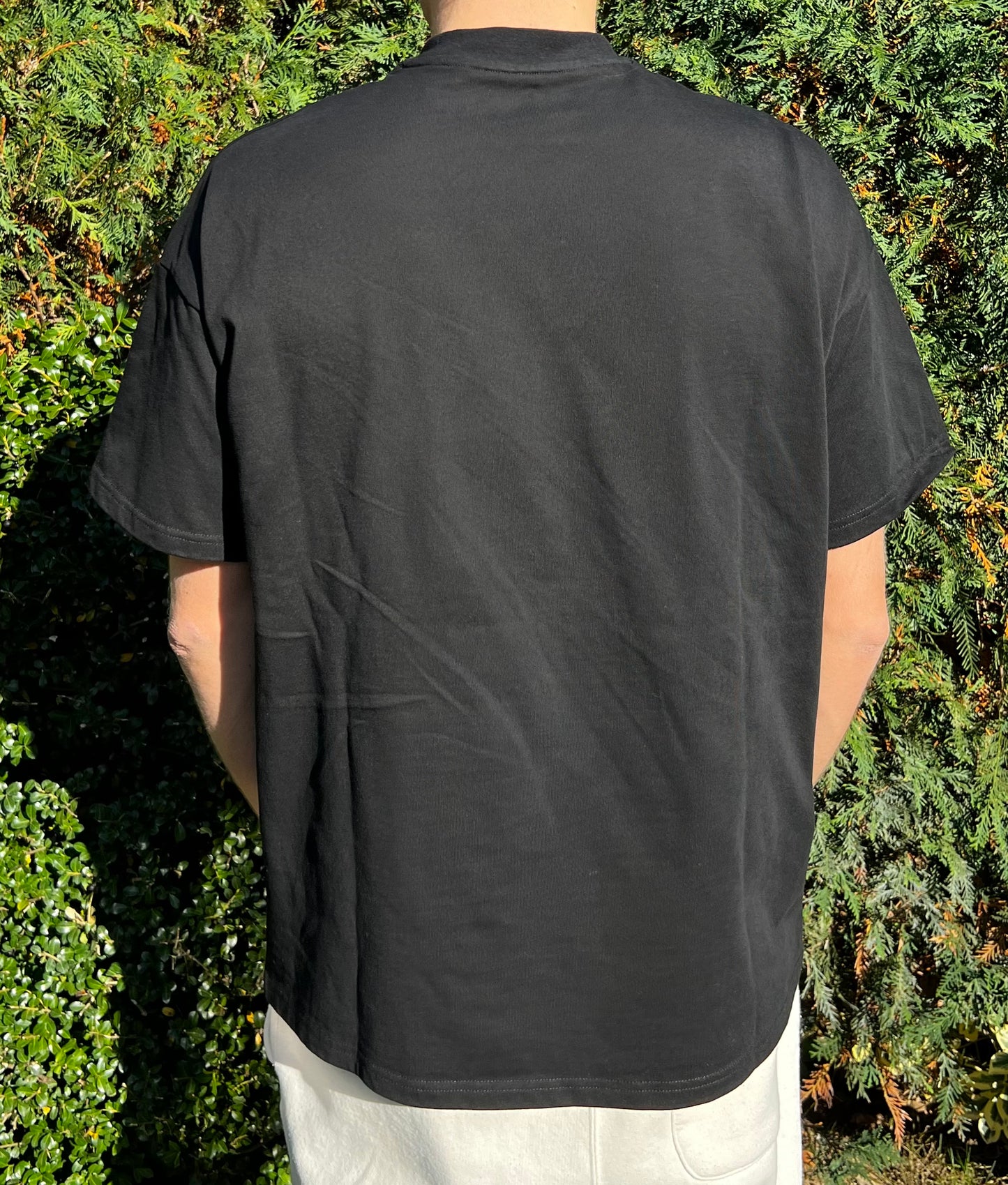 TommyBoyTV+ Logo Premium Tee (Black)