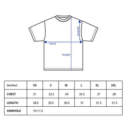 TommyBoyTV+ Logo Premium Tee (White)